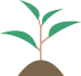 anbau